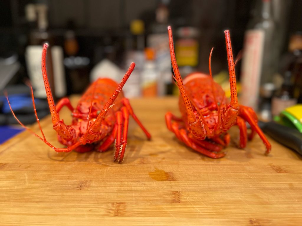 spiny lobsters
